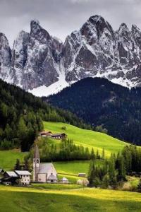 North Italia